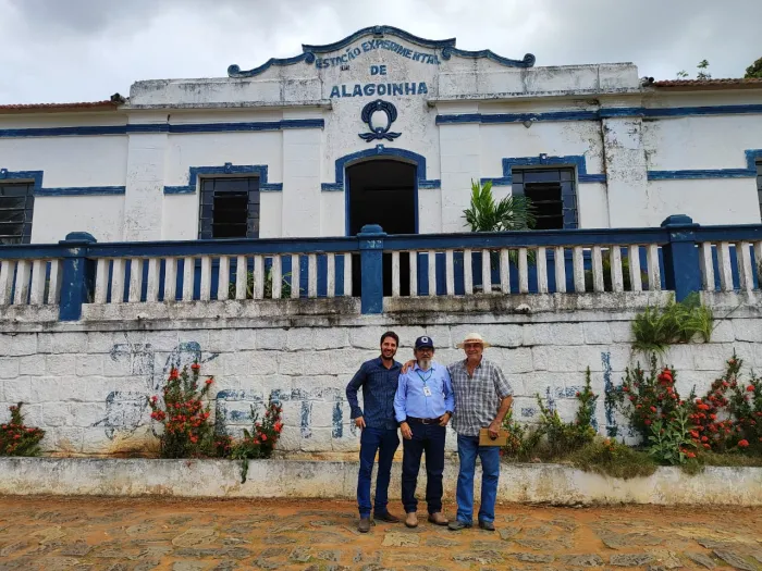 Leilão de bovinos da Empaer atrai atenção de criadores de Goiás