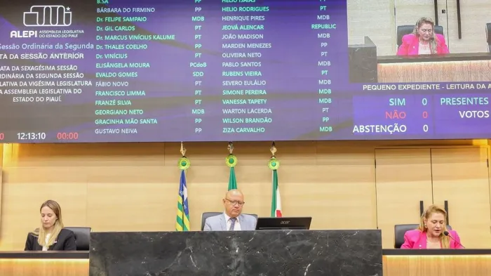 Foto: Reprodução/Secom Piauí