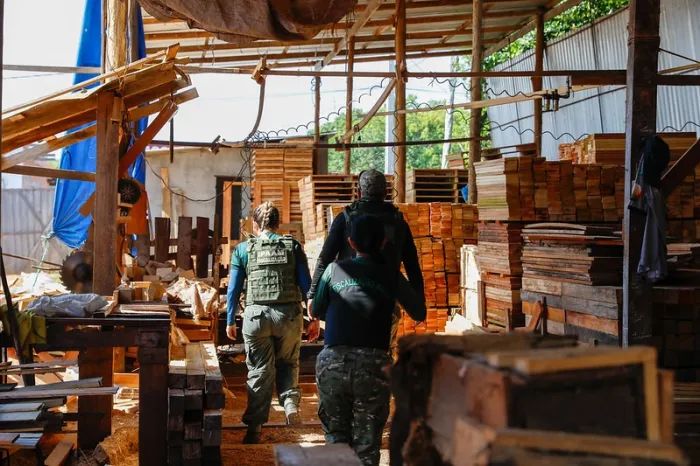 Operação Curupira 2: Governo do Amazonas apreende madeiras ilegais em serrarias de Manacapuru