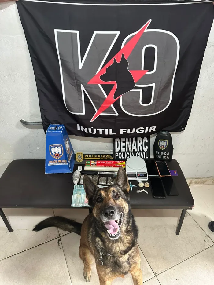 Foto: Reprodução/Polícia Militar - ES