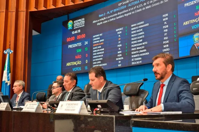 A Assembleia Legislativa é responsável pela análise e votação dos projetos encaminhados pelos outros Poderes