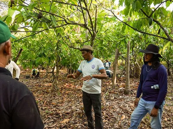 - Visita técnica da Sema a Tomé-Açu no Pará (Foto: Divulgação)