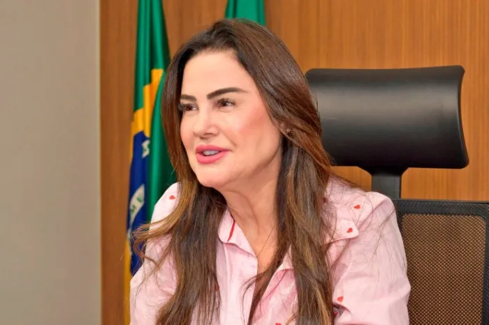 A nova lei é de autoria da deputada estadual Mara Caseiro 