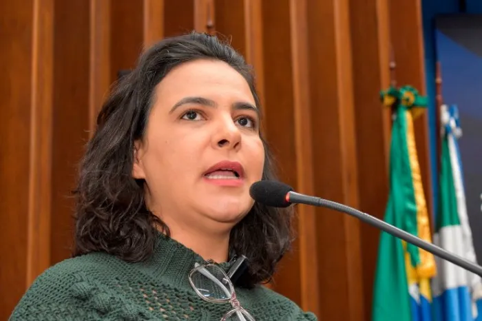 A nova lei é de autoria da deputada estadual Gleice Jane