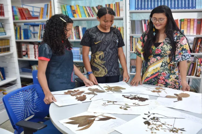 - Projeto pedagógico de professora maranhense ganha Prêmio MapBiomas (Foto: Divulgação)