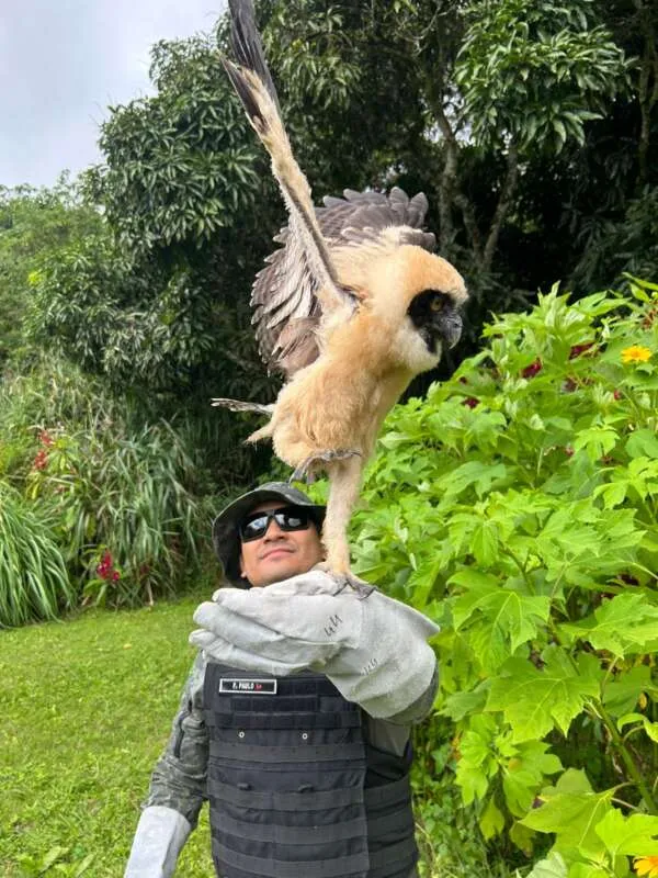 BPMA da PMCE comemora 33 anos de atuação com acréscimo das ações de combate a crimes ambientais