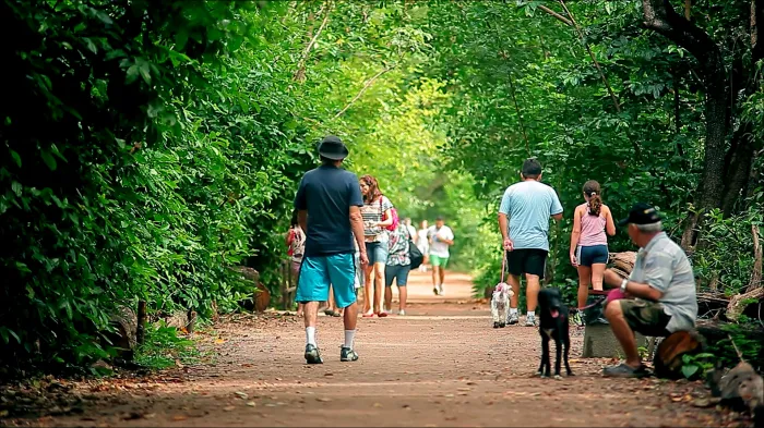 Parque do Cocó oferece atividades gratuitas neste fim de semana