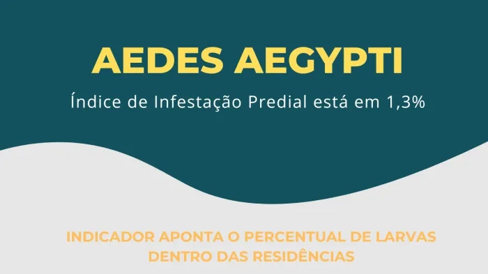 Infestação pelo mosquito Aedes aegypti está em 1,3%