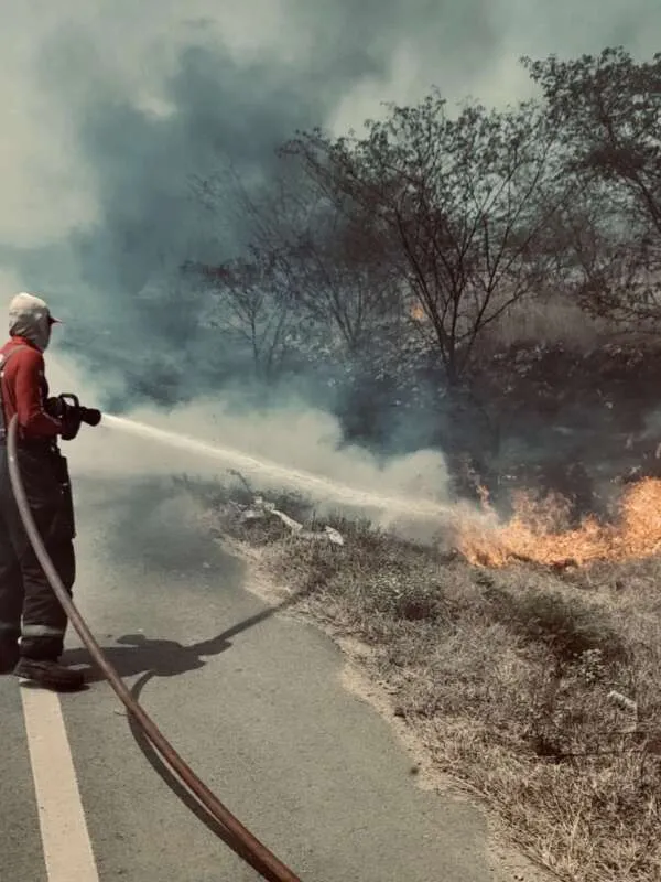 Corpo de Bombeiros debela 2.048 incêndios em vegetações em 2024