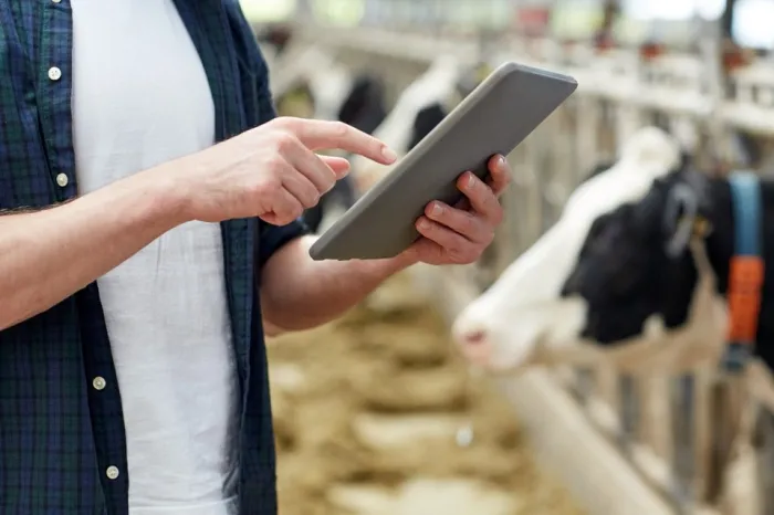 Espírito Santo atualiza regras para médicos-veterinários cadastrados para a vacinação contra brucelose