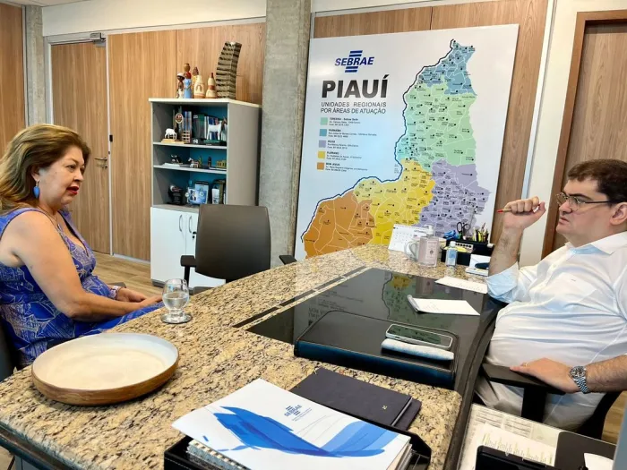 Foto: Reprodução/Secom Piauí