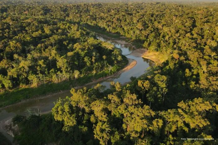 Dia da Amazônia: Acre reafirma compromisso com a conservação do bioma fundamental para o equilíbrio climático e ambiental do planeta