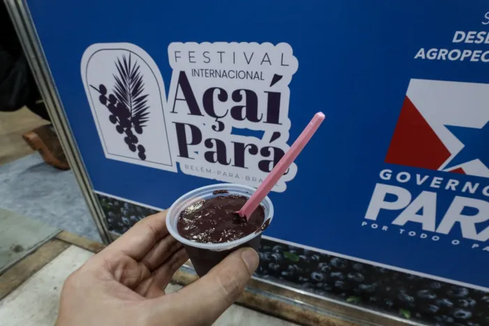 Governo do Estado fortalece investimentos na produção de açaí no Pará