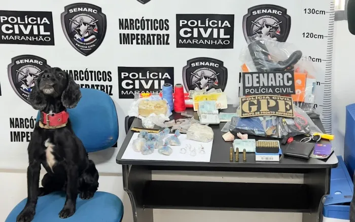 - Durante a ação, foram apreendidas várias porções de maconha e crack, uma grande quantia em dinheiro e 55 munições (Foto: Divulgação)