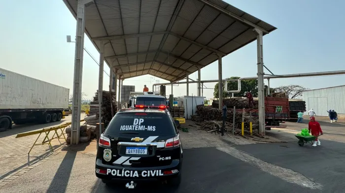 Foto: Reprodução/Polícia Civil - MS