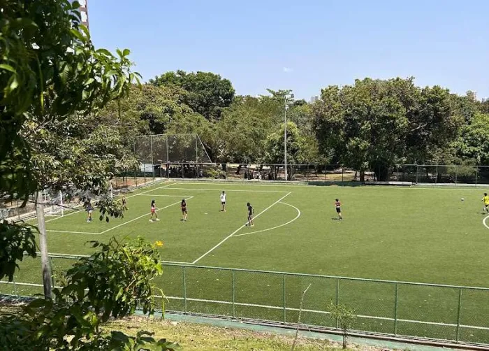 Domingo tem programação gratuita no Parque do Cocó