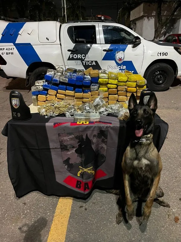 BAC e Patrulha K-9 do 6º BPM apreendem grande quantidade de drogas
