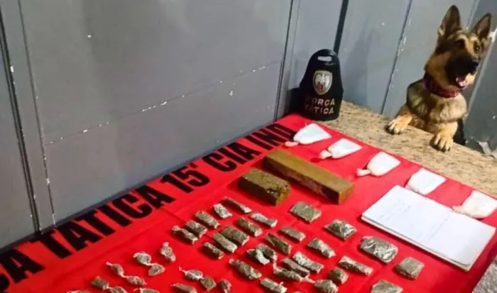 15ª CIA IND apreende drogas em mata de Mimoso do Sul