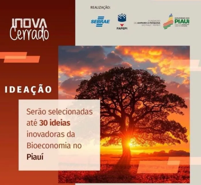 Foto: Reprodução/Secom Piauí