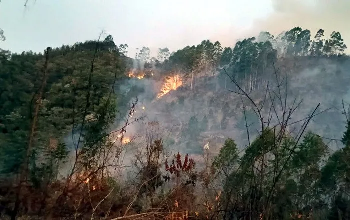 Homem é preso suspeito de iniciar incêndio em Marechal Floriano