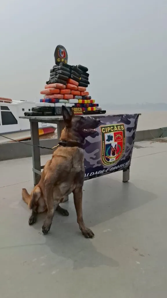Em agosto, Bases Fluviais apreenderam cerca de 300 kg de entorpecentes no interior do Amazonas