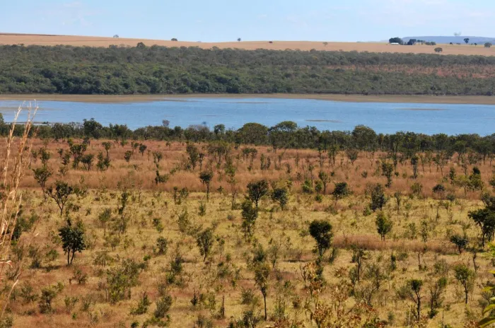 Deputados defendem preservação ambiental no Dia do Cerrado