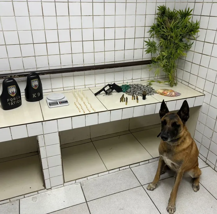 Força Tática do 6º BPM detém suspeito e apreende arma de fogo e drogas