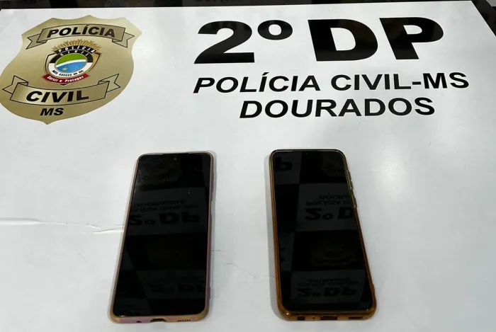 Foto: Reprodução/Polícia Civil - MS