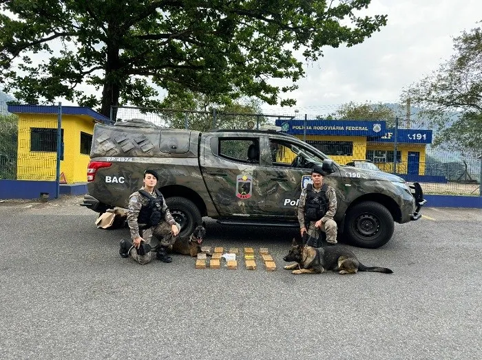 Foto: Reprodução/Polícia Militar - ES