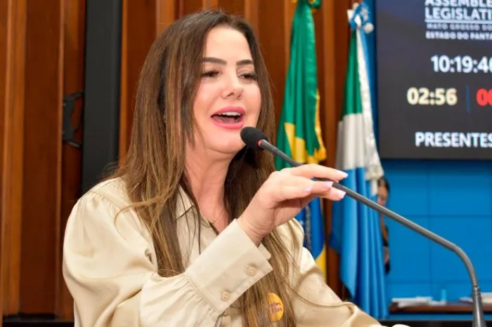 Nova lei é de autoria da deputada Mara Caseiro 