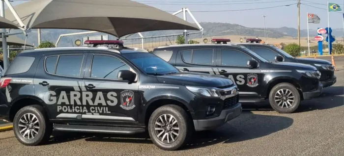 Foto: Reprodução/Polícia Civil - MS