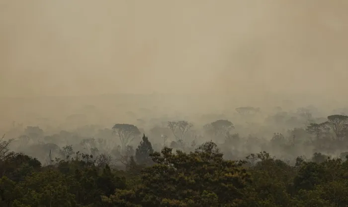 Força Nacional do SUS apoia atendimentos no Amazonas após incêndios