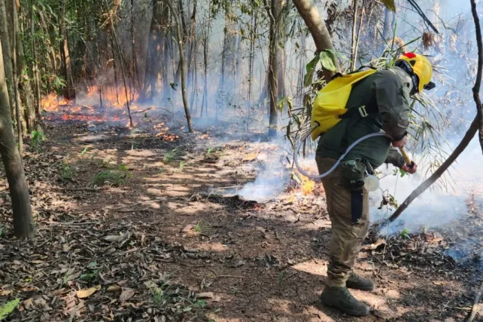 Unidades de Conservação do Baixo Rio Negro recebem ações de combate integrado a focos de incêndio