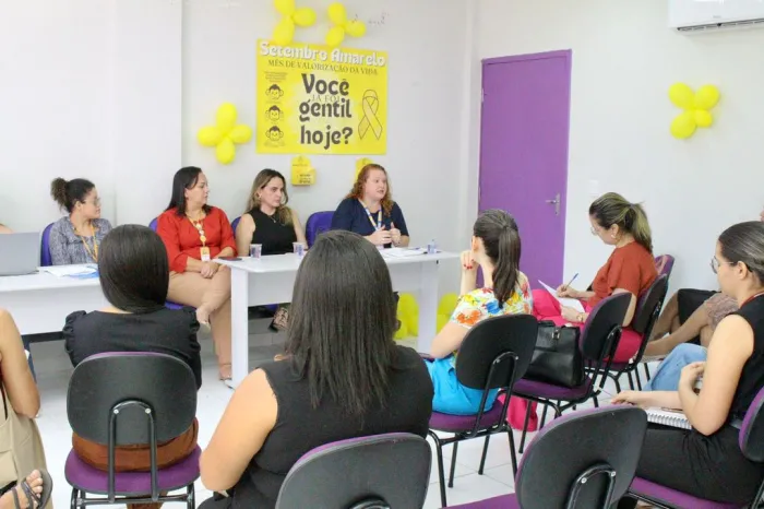 Foto: Reprodução/Secom Piauí