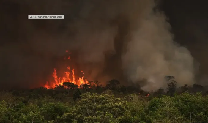 Adaptação à emergência climática no DF será tema de audiência pública nesta quarta (18), às 19h