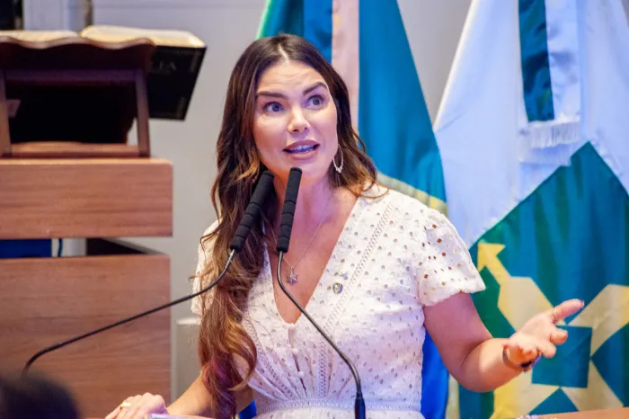 CLDF debate regulação da atividade de quiosques, trailers e food-trucks no DF