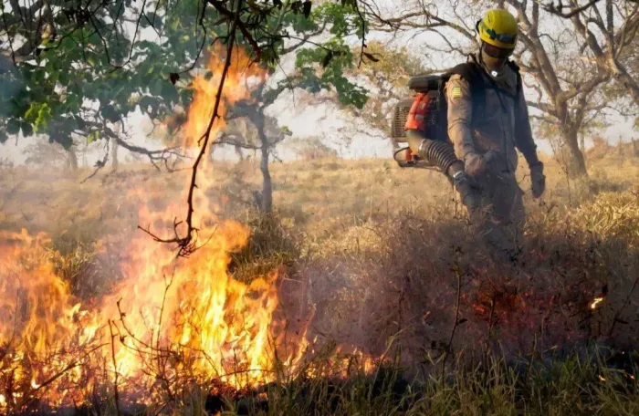 Análise dos efeitos das queimadas considera os custos diretos associados a fatores econômicos, sociais e ambientais (Foto: Bombeiros de Goiás)
