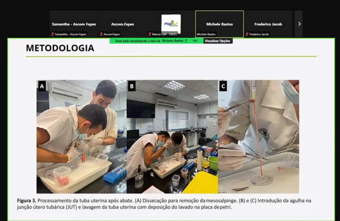 Fapes promove seminário virtual para apresentação e avaliação dos resultados alcançados em 23 pesquisas científicas, tecnológicas e de inovação