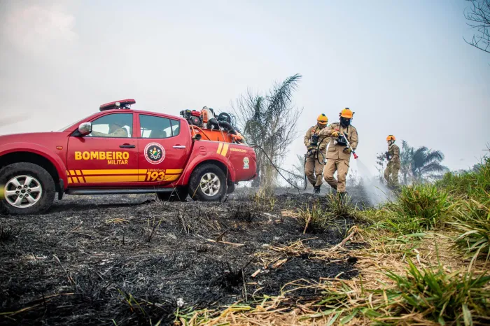 Governo do Acre demonstra transparência no combate aos incêndios florestais com monitoramento público