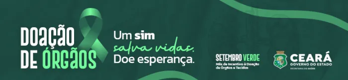 Setembro Verde: Sesa realiza curso sobre preservação e perfusão de órgãos sólidos removidos para transplante
