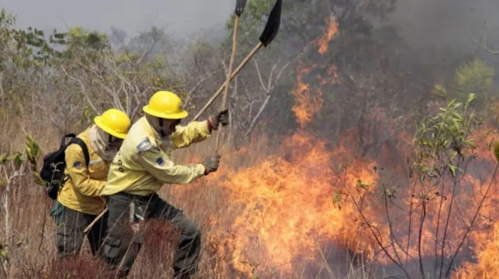 Semarh entrega novos equipamentos de EPIs e material de combate a incêndio florestal a 11 municípios piauienses