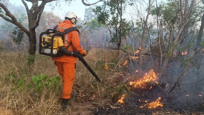 - A iniciativa fortalecerá a segurança e as ações de prevenção a desastres no estado (Foto: Divulgação)