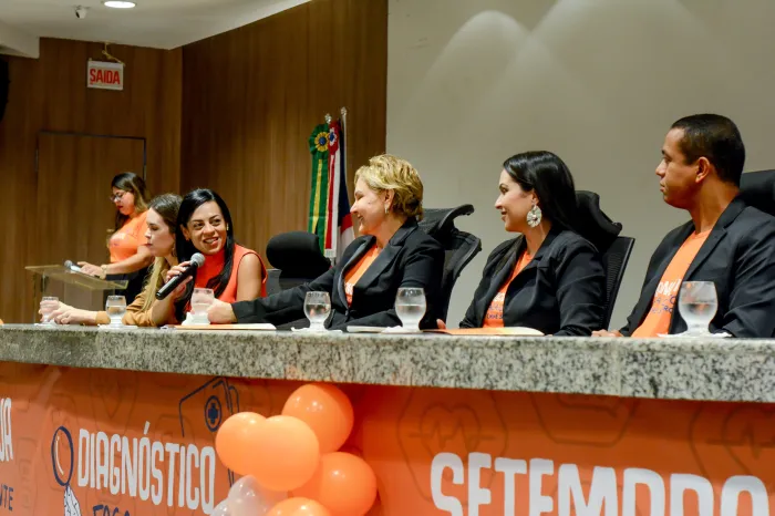 - SES atualiza recomendações sobre casos de emergências obstétricas na MACMA (Foto: Divulgação)