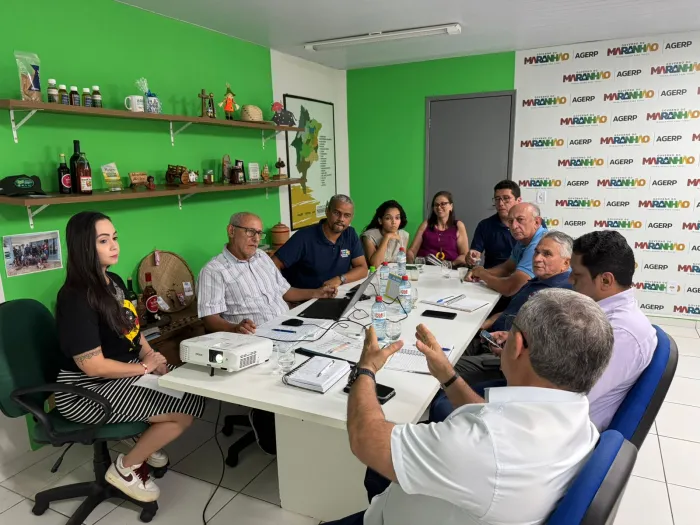 - Reunião com equipes técnicas discutiu a implementação de projetos estratégicos em parceria entre as duas instituições (Foto: Divulgação)