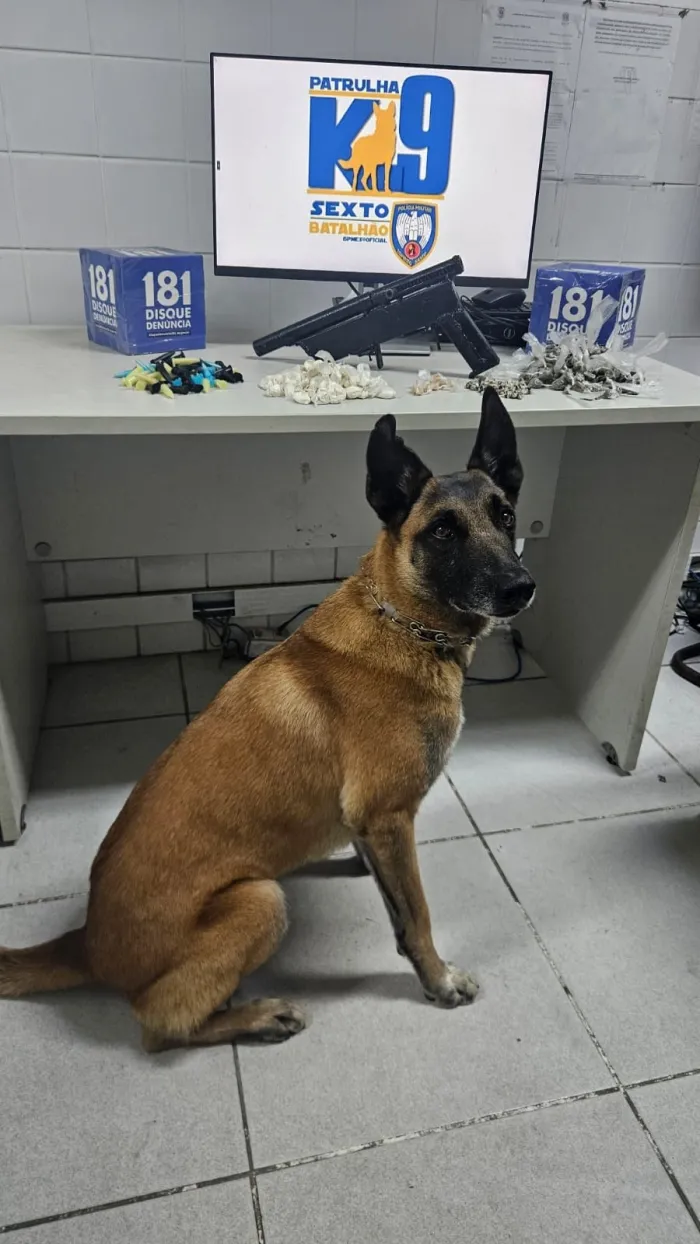 Foto: Reprodução/Polícia Militar - ES