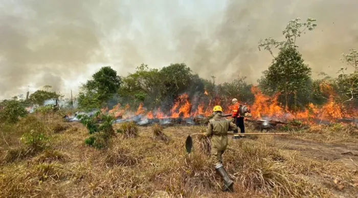 - CBMMA fortalece apoio em operações de combate às queimadas no Brasil e na Bolívia (Foto: Divulgação)