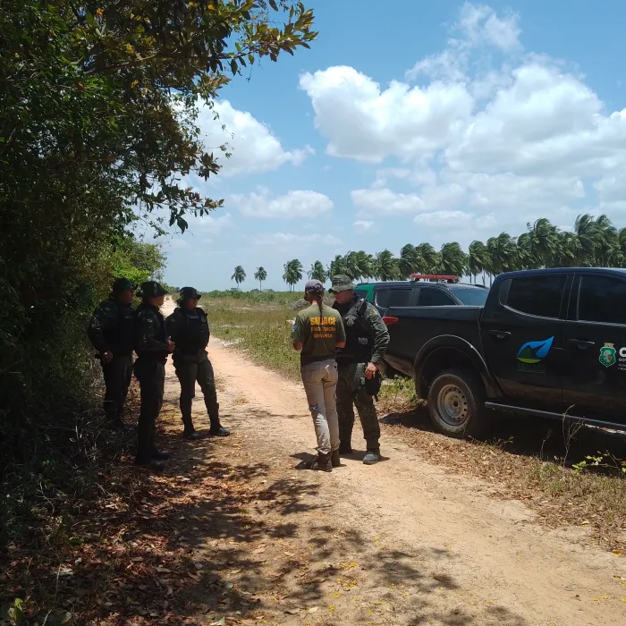 Operação Mata Atlântica em Pé 2024 combate desmatamento ilegal no Ceará