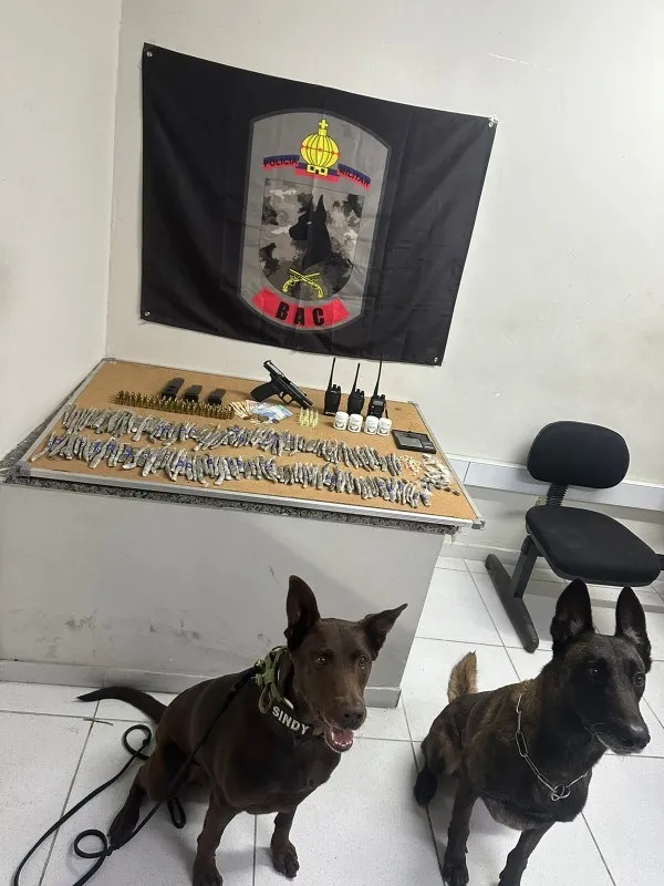 Foto: Reprodução/Polícia Militar - ES