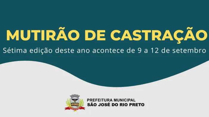 6º Mutirão de Castração de 2024 atende cães e gatos