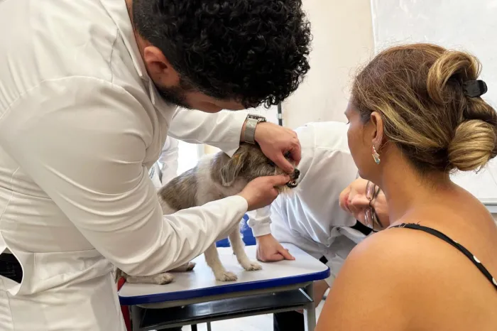 Usina da Paz Jurunas/Condor oferece atendimento veterinário gratuito